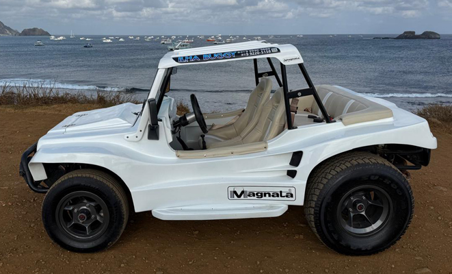 Buggy