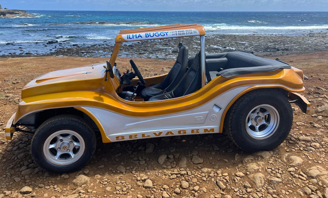 Buggy