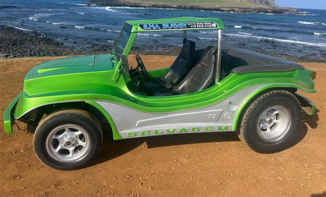 Buggy